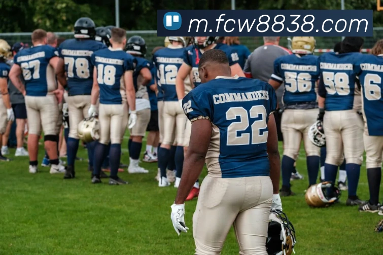 福彩网平台生态图